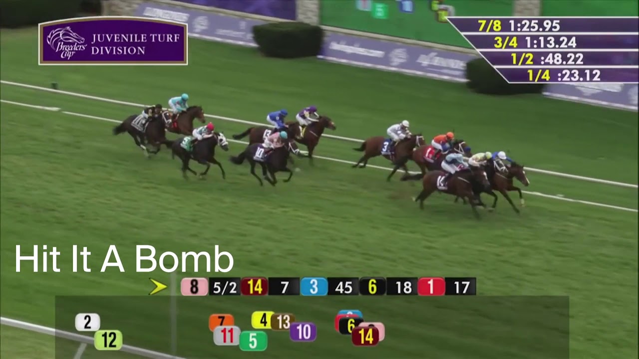 1/ST BET BETMIX offers up some trends and factors in the Breeders' Cup Juvenile Turf.