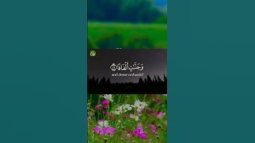 Quranic Tranquility | Surah An-Naba (78) - سورة النبأ 🌌