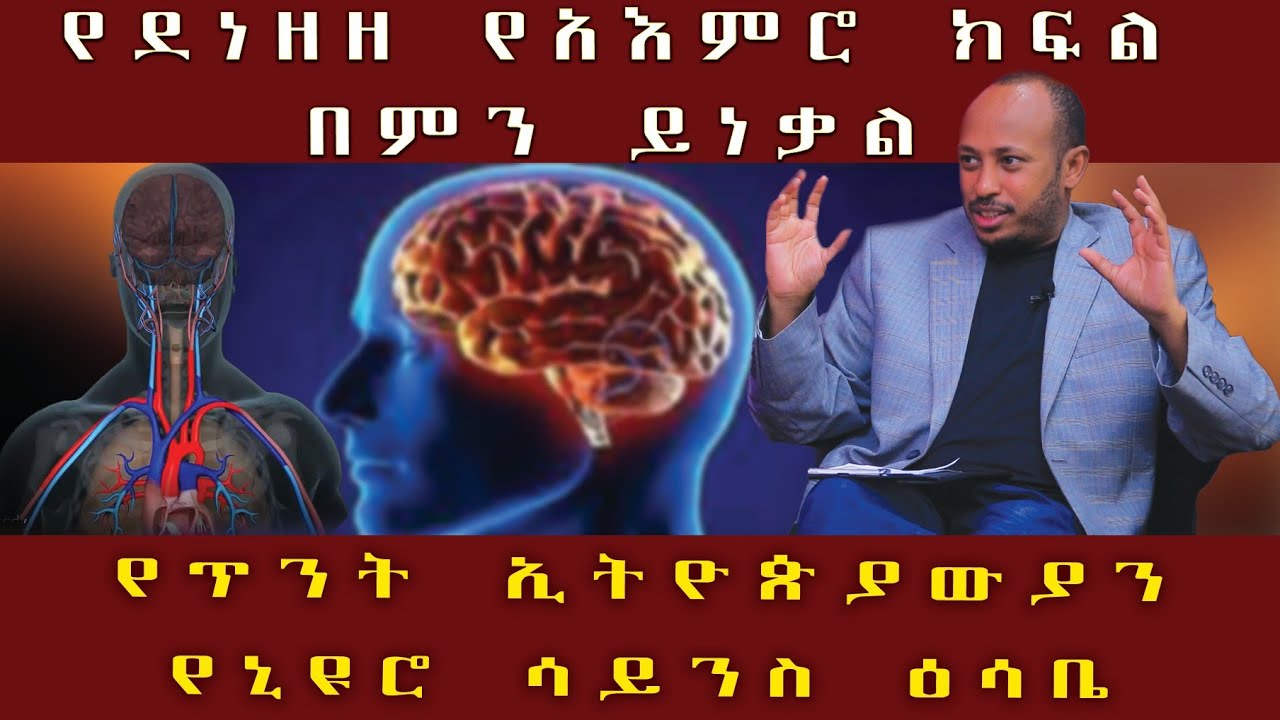 የደነዘዘ አእምሮ በምን ይነቃል? የ2ቱ አእምሮ ክፍሎች