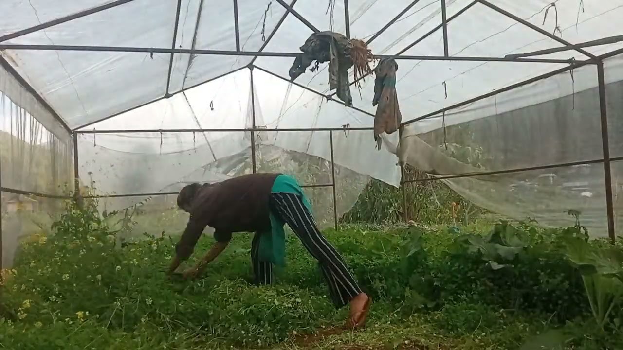 Yo honi tarika ❤️❤️