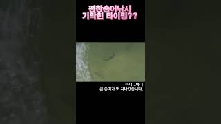 욕하는거야? 오해야? #송어낚시