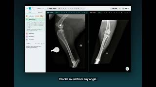 Details Calibrate an X-ray – Librevet tutorial Guide
