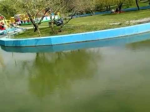 Одесса парк победы огромные рыбы люди кормят хлебом и ни кто их не ловит