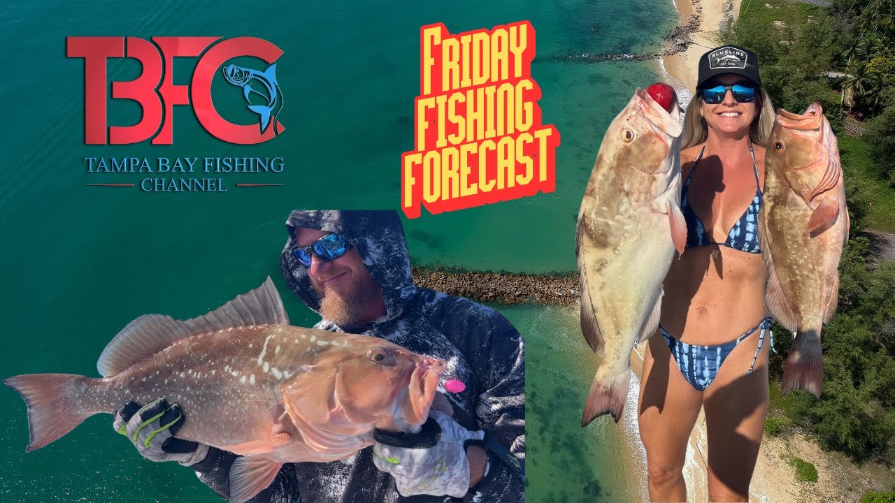 Прогноз рыбалки на пятницу в заливе Тампа!
