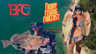 Friday Fishing Forecast For Tampa Bay