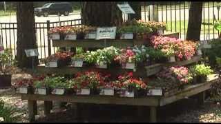 Wingard's Nursery & Garden Center