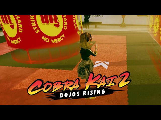 Empresa brasileira está desenvolvendo o jogo Cobra Kai 2: Dojos Rising -  Drops de Jogos