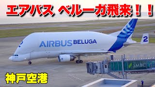 【飛行機を運ぶ飛行機】エアバス ベルーガが神戸空港に飛来！！