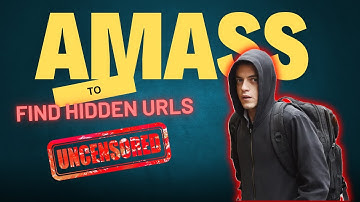 Amass Subdomain Enumeration Complete Guide in Kali Linux