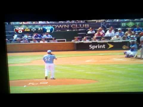 Stupid Royals fan