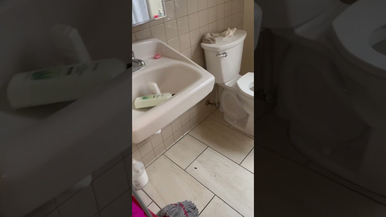 Hoarding Cleanup in Buffalo NY⚠️☣️ 