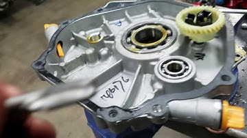 Cub Cadet 1250 420cc predator repower part 1