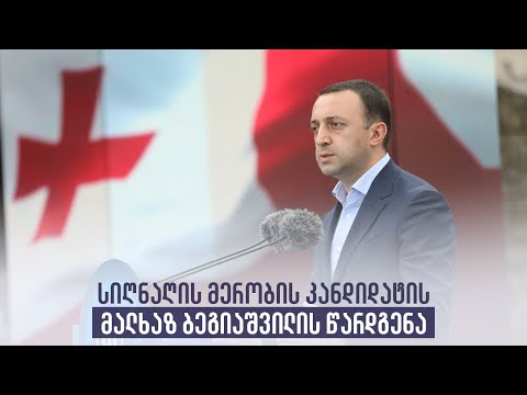 სიღნაღის მერობის კანდიდატის მალხაზ ბეგიაშვილის წარდგენა