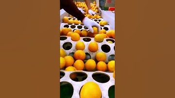 The process of orange sorting is shared - good machinery can improve the efficiency of doing things