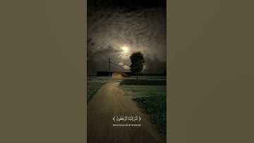 اكتب شيء تؤجر عليه #قرآن #سورة_العنكبوت #عبدالرحمن_مسعد
