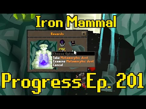 This Is More Rare Than A Twisted Bow | Iron Mammal Progress 201