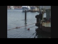 2012  disancoraggio pilone di ancoraggio