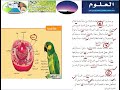 العلوم -   الدرس الثاني -  كيف اقارن بين الخلايا النباتية والخلايا الحيوانية ؟