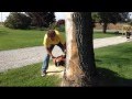 Felling Trees (Bore Cut Method)