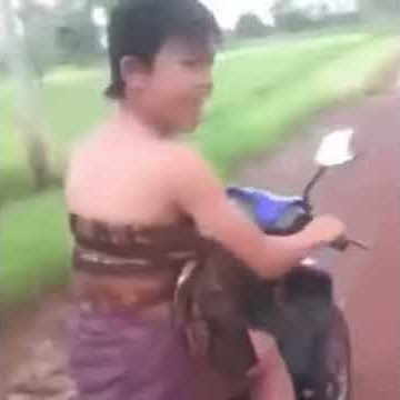 NGAKAK LIHAT WARIA THAILAND GASTRACK DI SAWAH
