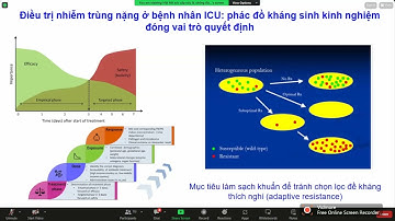 KHÁNG SINH ĐIỀU TRỊ NHIỄM TRÙNG DO VI KHUẨN ĐA KHÁNG TẠI ICU: CẬP NHẬT DƯỢC LÂM SÀNG