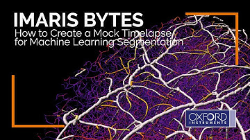 Imaris Bytes | How to Create a Mock Timelapse for Machine Learning Segmentation
