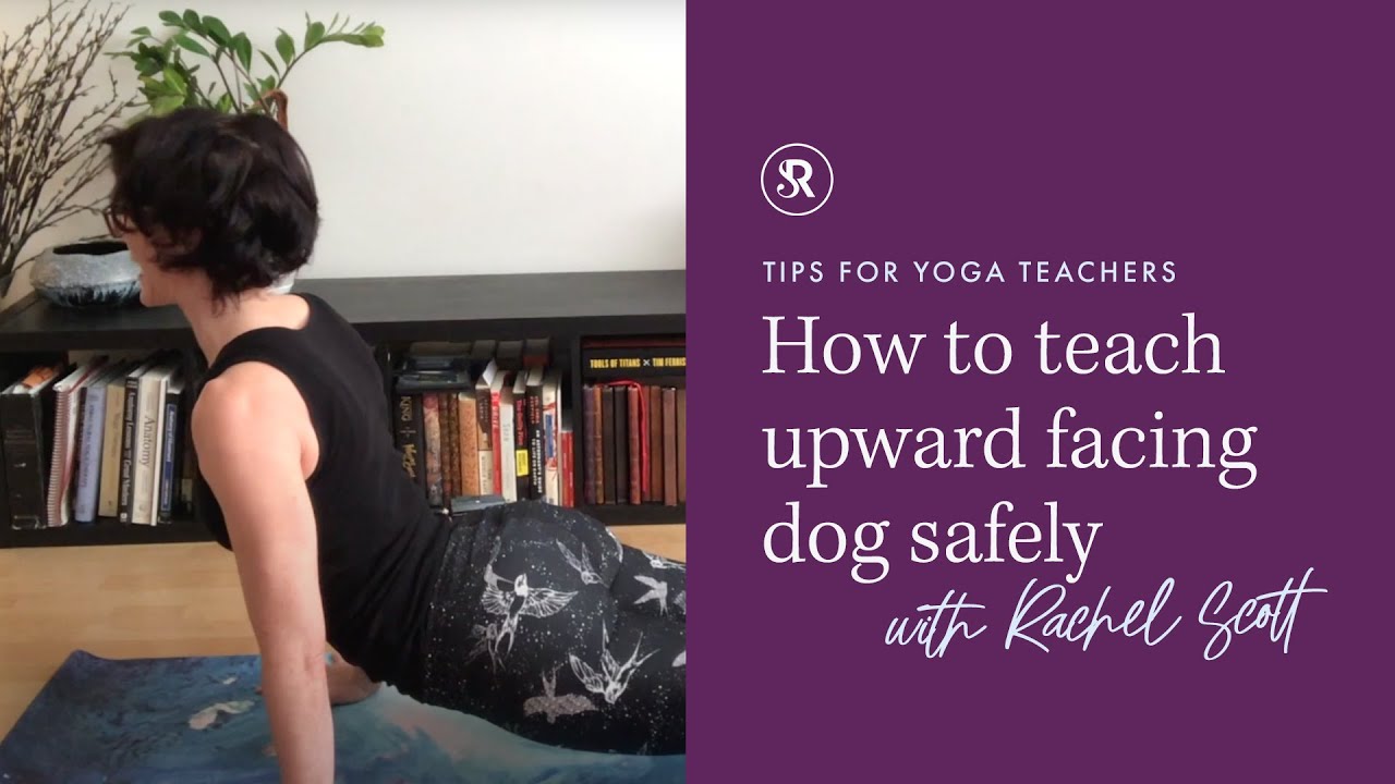 How To Teach Upward Facing Dog Safely ~ Tips for Yoga Teachers