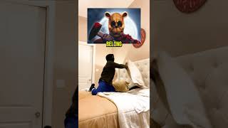 What Is The Public Domain?