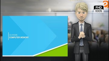 CD ROMs  I Fundamentals of IT & Programming I From Eguide