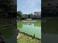 LEMBAH RAGUNAN PART 3 #umpandjalu #teskolambarengsobatdjalu #lombaikanmas #empangikanmas
