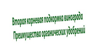 Вторая корневая подкормка винограда. Плюсы органических удобрений