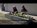 Solway Primary School - TerraCycle x Colgate