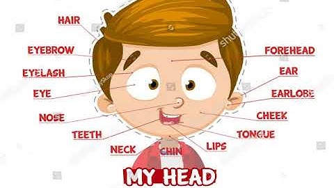 Parts Of The Body in English | Humain Body Parts Names + Places