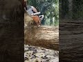 best cutting Teak wood.
