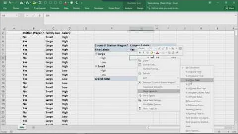 Data Analysis with Excel - 2.4 - Pivot Tables - CrossTab Analysis and Value Field Settings