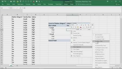 Data Analysis with Excel - 2.4 - Pivot Tables - CrossTab Analysis and Value Field Settings