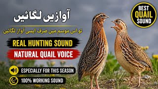                                       سمعها