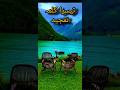 Third Kalma - Kalma-e-Tamjeed, a powerful declaration of the greatness and glory of Allah #quran