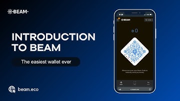 Here’s a tutorial video on how to set up a beam wallet. Really easy and superb.