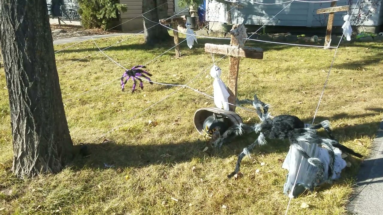 Happy Halloween!!! A Cannabis Grow 