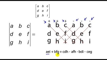 Lesson 20 Determinants of 2 x 2 and 3 x 3