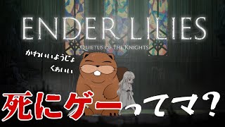 【 #2DアクションRPG 】かわいいようじょのゲーム ４回目【ENDER LILIES: Quietus of the Knights】