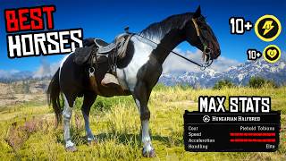 5 BEST Horses for Arthur Morgan in RDR2