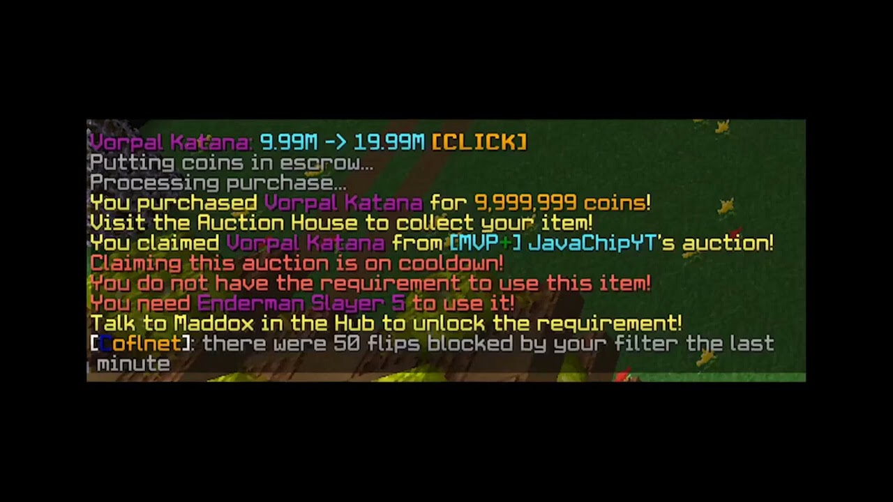 Hypixel Skyblock | cofl Auction Flipper (50m/hr)