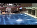 Reverse 3 1/2 dives from the 2014 USA Diving Winter National Championships