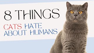 8 Things Cats Hate About Humans!