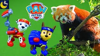 Paw Patrol All Stars Pups Toys Marshall Chase At The Zoo