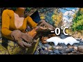 Cook in Nature with My Dog | Autumn Forest, Falling Leaves and First Snow Camping
