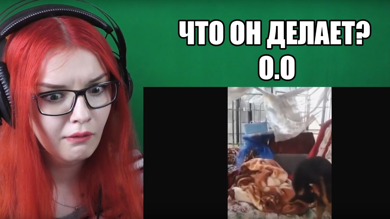 Смешное видео про ладу
