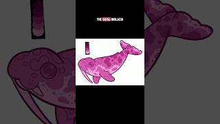 Paleo Party - Odobenocetops